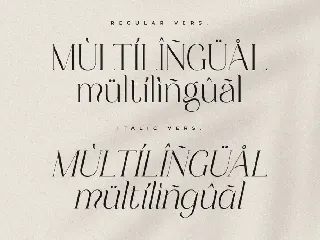 Mayfest | Elegant Serif Font Family