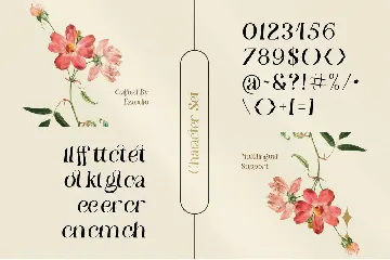 Modern and Aesthetic Serif - Granchy font