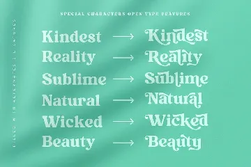 Kindest Reality | A Nostalgic Serif font