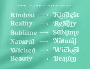 Kindest Reality | A Nostalgic Serif font