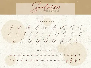 Sealatte Font