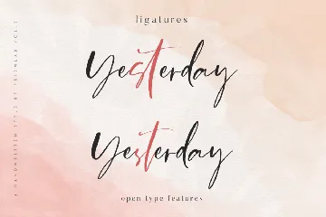 Stylish Yesterday | A Luxe Chic Font