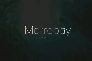 Morrobay Unique Typeface with Web-fonts