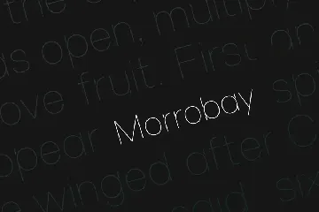 Morrobay Unique Typeface with Web-fonts