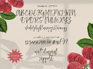 Raspberry Smash Script Font