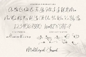 Slovenia | Calligraphy Font