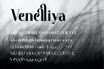 Venelliya Font