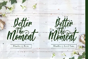 Blueberry - Modern Calligraphy Font