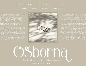 Baqola Modern Display Font