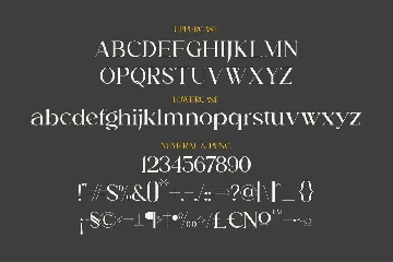 Aurora Modern Serif Font