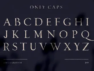 Loki - Free Sans Serif Brush Font