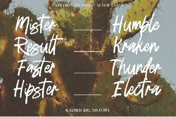 Radien Brush font