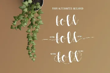 Allia Typeface font