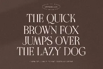 Chemre - Elegant Serif font