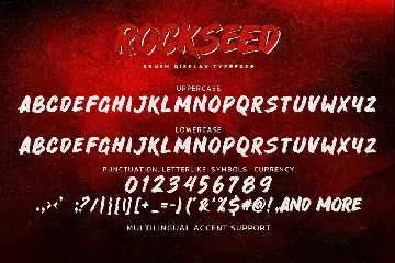 ROCKSEED - Brush Display Typeface font