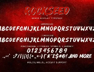 ROCKSEED - Brush Display Typeface font