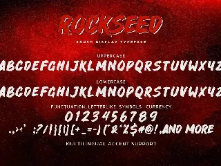 ROCKSEED - Brush Display Typeface font