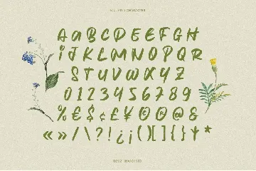 Klorofeel - Elegant Font