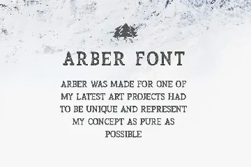 Arber Vintage Font