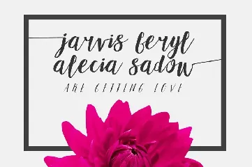 Adellove Typeface font