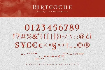 Birtgoche font