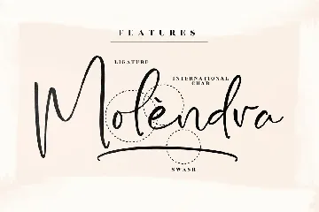 Yolmans Zemicka Signature Script Font