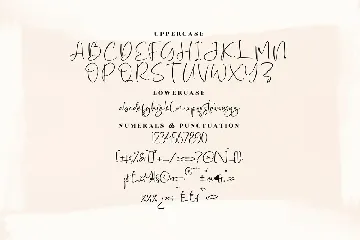 Yolmans Zemicka Signature Script Font