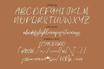 Zevallya Script Font