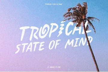 Soda Berry - Tropical Display font