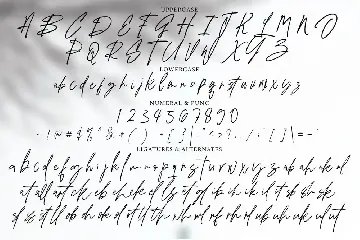 Pelsiwe Signature font