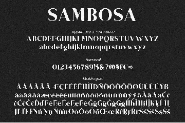 Sambosa - Modern Serif Font