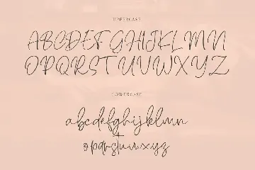 Brendria - Signature Font YR