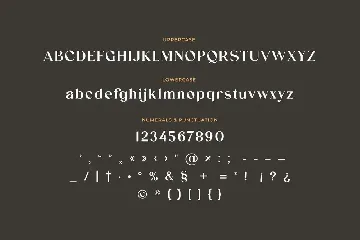 Porsha Richela Modern Serif Font