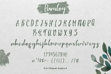 Parsley Handwritten Typeface font