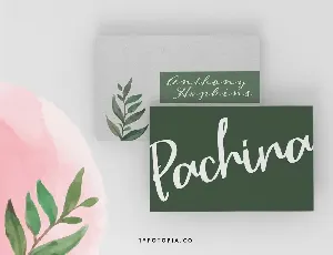 Parsley Handwritten Typeface font