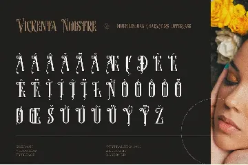 Vickenta Noistre font