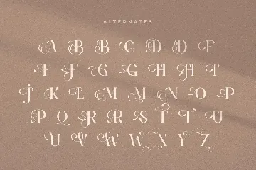 Kamerun - Modern Logo Serif font