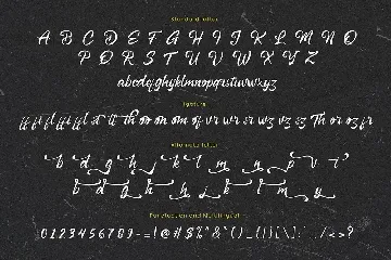 Bottega Font