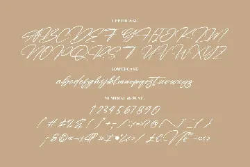 Detinata Modern Signature Font