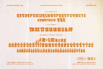 Kalamaya Retro Funk Business Font