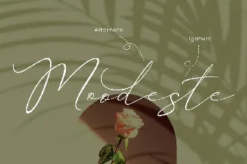 Palmegria Signature Font