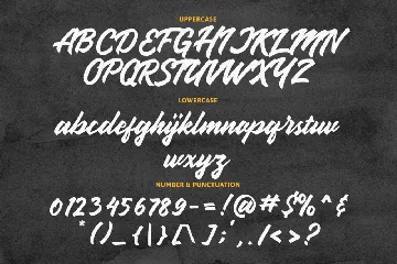 Handbrake Stylish Handlettering font