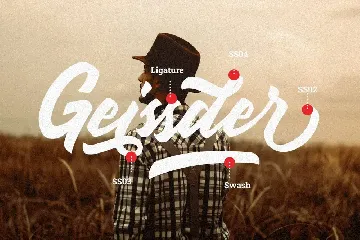 Handbrake Stylish Handlettering font