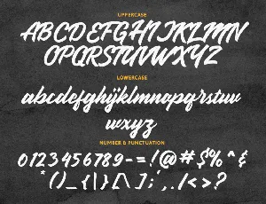 Handbrake Stylish Handlettering font