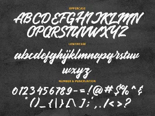 Handbrake Stylish Handlettering font