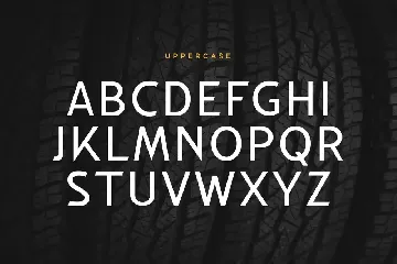 Comfort - Modern Racing Logo Font