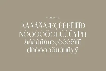 Rihena Modern Serif Font