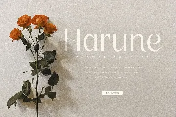 Ethnic - Luxury Modern Beauty Serif Font