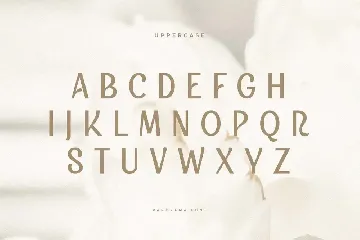 Panorama - Beauty Display Font