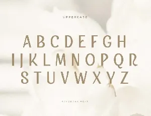 Panorama - Beauty Display Font